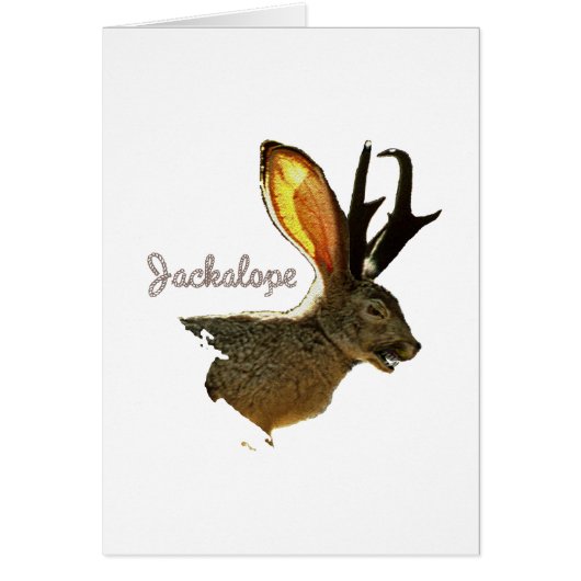 Jackalope Cards (Front)