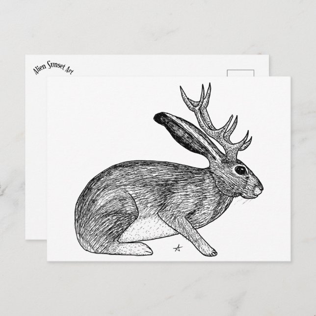 Jackalope Postcard (Front/Back)
