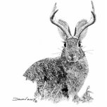 Jackalope Statuette<br><div class="desc">The jackalope is one of the rarest animals in western North America. Their primary habitat is open prairie where they can feed safely on native grasses. The jackalope has keen eyes with exceptional hearing, making them one of the least-seen animals in the wild, although mounted individuals are common in bars...</div>