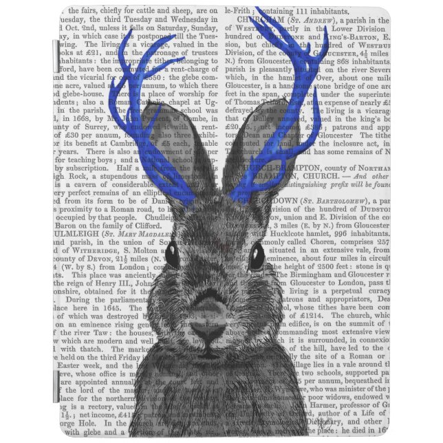Jackalope with Blue Antlers iPad Air Cover (Front)