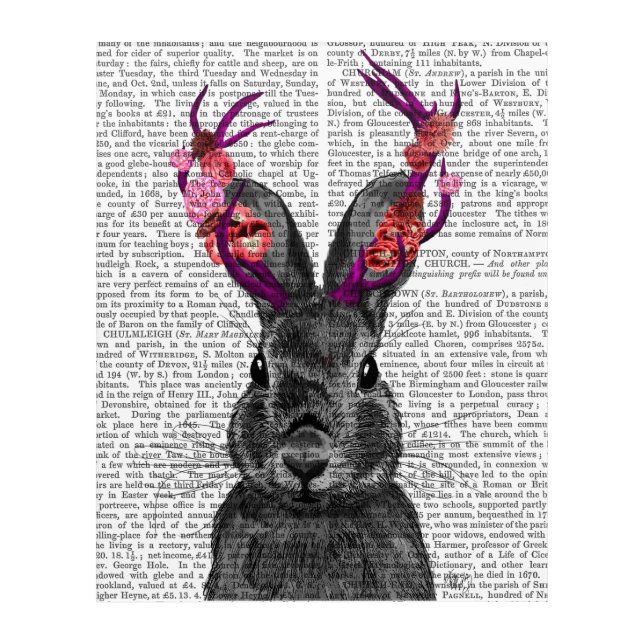Jackalope with Pink Antlers Acrylic Print (Front)
