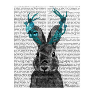 Jackalope with Turquoise Antlers Acrylic Print