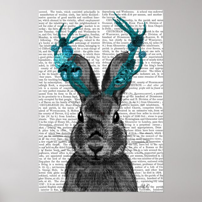 Jackalope with Turquoise Antlers Poster (Front)