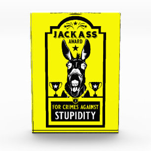 Jackass Award