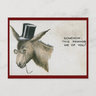 Jackass in a Top Hat Vintage Postcard