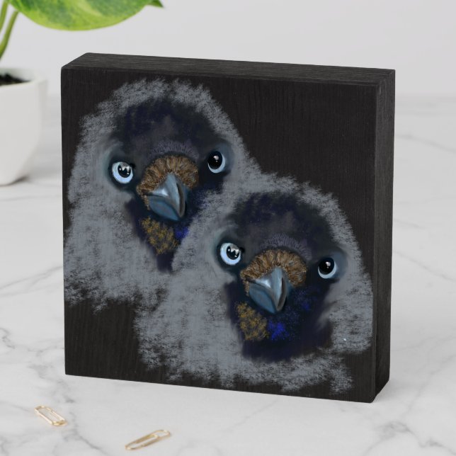 Jackdaw Bird Original Digital Art Wood Box Sign (In Situ Horizontal)