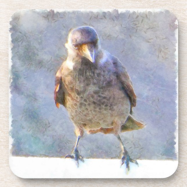 Jackdaw Watercolor Beverage Coaster (Front)