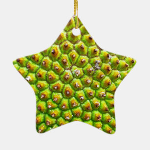 Jackfruit Dble-Sided Star Ornament
