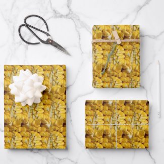 Jackfruit Tropical Fruit Pattern