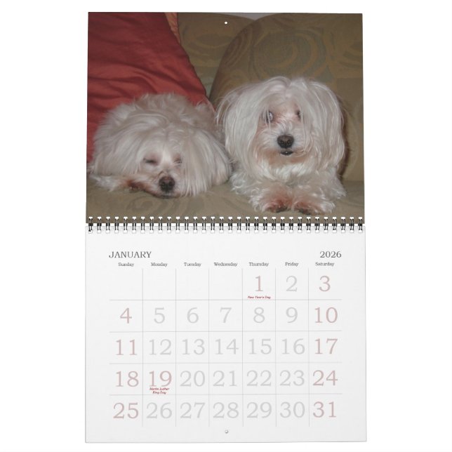 Jackie & Sassy's Wild & Krazy Adventures Calendar (Jan 2026)