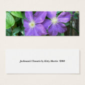 Jackmanii Clematis (Front & Back)