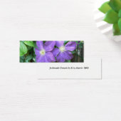Jackmanii Clematis (Desk)