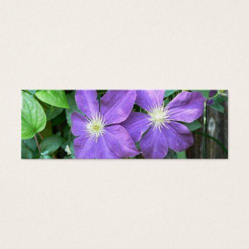 Jackmanii Clematis Business Card Template