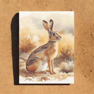 Jackrabbit in Desert Brush Southwestern Postcard