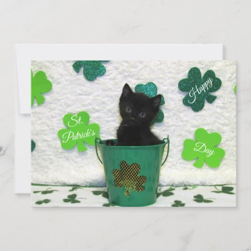 Jacks St Patricks Day  Cat Kitten  _ Flat Card