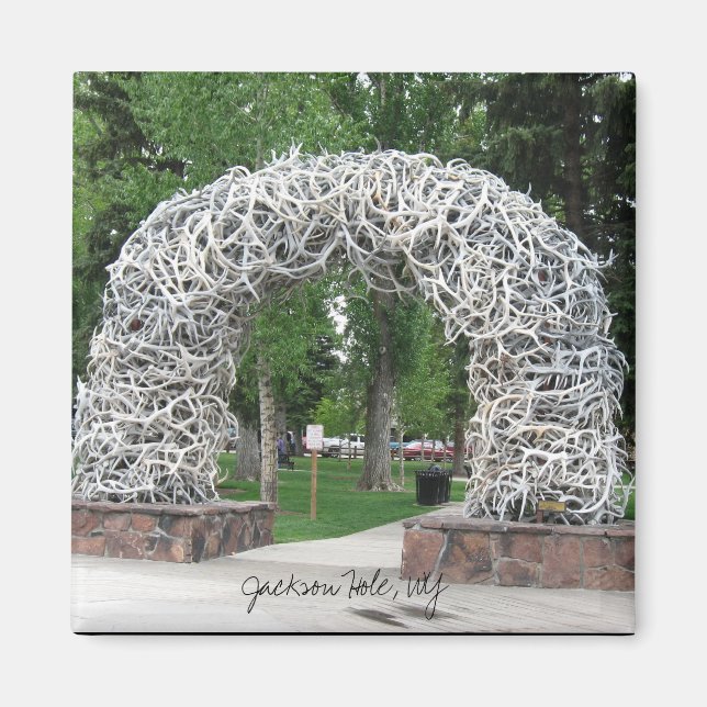 Jackson Hole Antler Arch Magnet (Front)