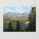 Jackson Hole Mountains and River Postcard