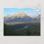 Jackson Hole Mountains (Grand Teton National Park) Postcard