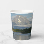 Jackson Hole River at Grand Teton National Park Paper Cups