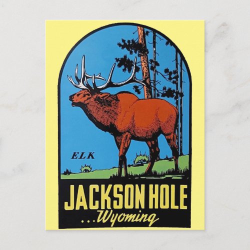 Jackson Hole Wyoming  vintage travel Postcard