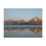 Jackson Lake Dam Reflection in Grand Teton Park Postcard