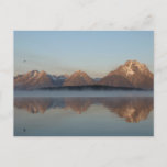 Jackson Lake Dam Reflection in Grand Teton Park Postcard