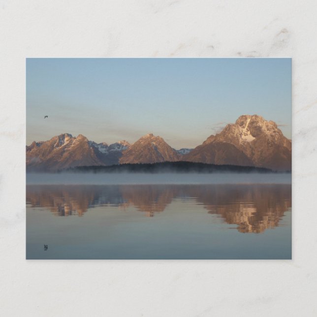 Jackson Lake Dam Reflection in Grand Teton Park Postcard (Front)