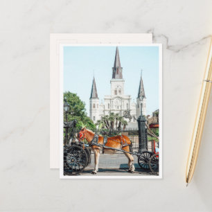 Jackson Square New Orleans Horse Photo Postcard