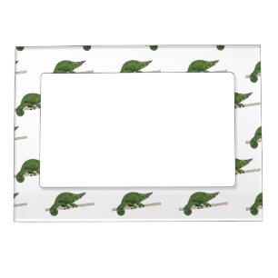 Jackson's chameleon cartoon illustration magnetic frame