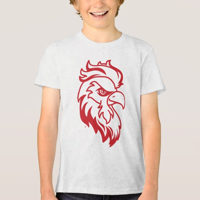 Jacksonville State University Gamecocks Red Eagle Tri-Blend Shirt (Front)