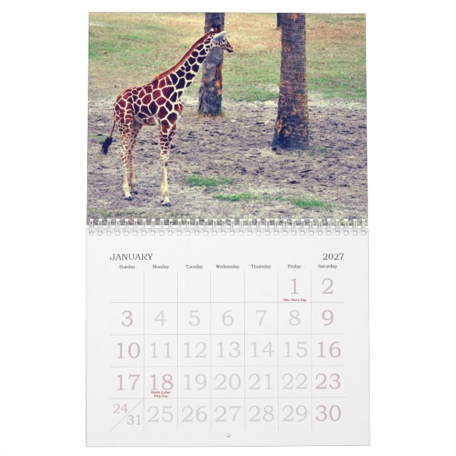 Jacksonville Zoo and Gardens Calendar (Jan 2027)