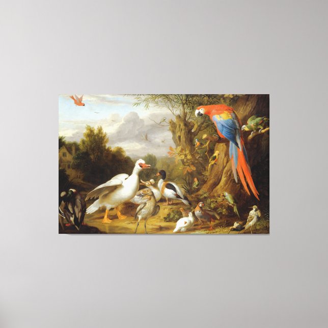 Jacob Bogdani A Macaw Ducks Parrots and Other Bird Canvas Print (Front)