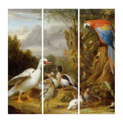 Jacob Bogdani A Macaw Ducks Parrots and Other Bird Triptych