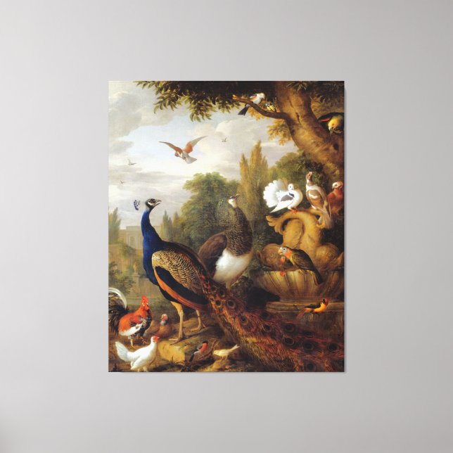Jacob Bogdani Peacock Peahen Parrots Canary   Canvas Print (Front)