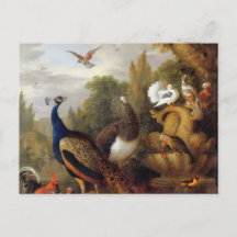 Jacob Bogdani Peacock Peahen Parrots Canary