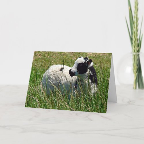 Jacob Ram Lamb Easter Holiday Card