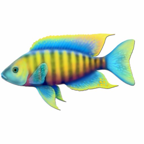 Jacobfreibergi African Peacock Cichlid Fish Pin Statuette