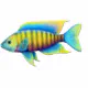 Jacobfreibergi African Peacock Cichlid Fish Pin Statuette | Zazzle