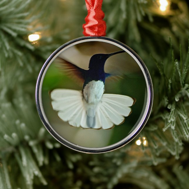 Jacobin in flight metal ornament (Tree)