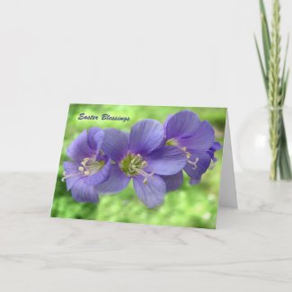 Jacob's Ladder Blossoms Easter Holiday Card