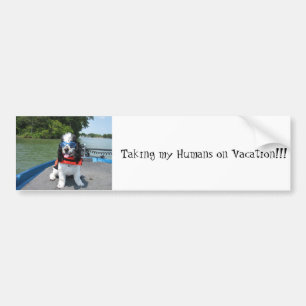 jacques pictures 039, Taking my Humans on Vacat... Bumper Sticker