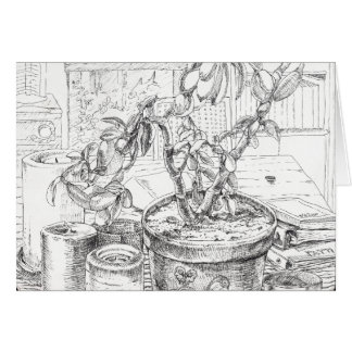 "Jade Plant Still Life", a pen & ink still life Cards