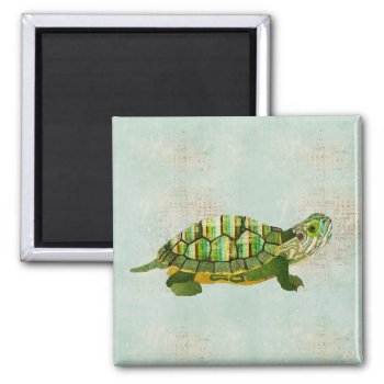 Jade Turtle Magnet by Greyszoo at Zazzle