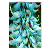 Jade Vine (Front)