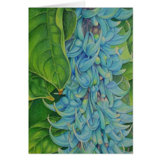 Jade Vine Cards (Front)