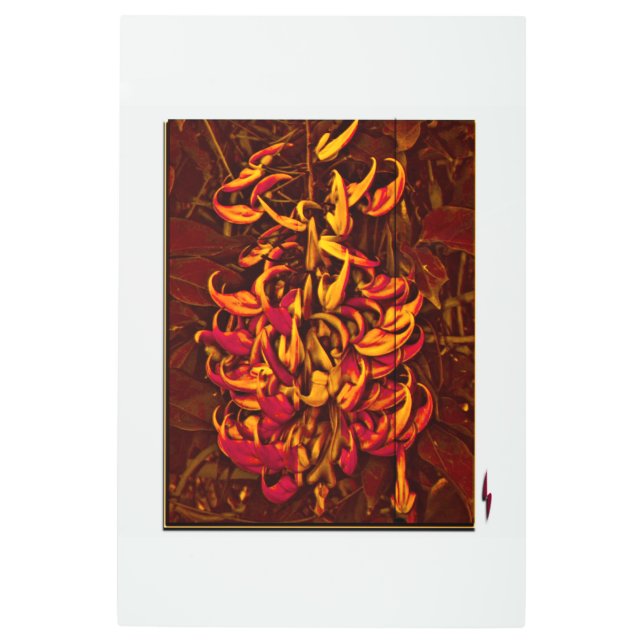 Jade Vine Metal Print (Front)