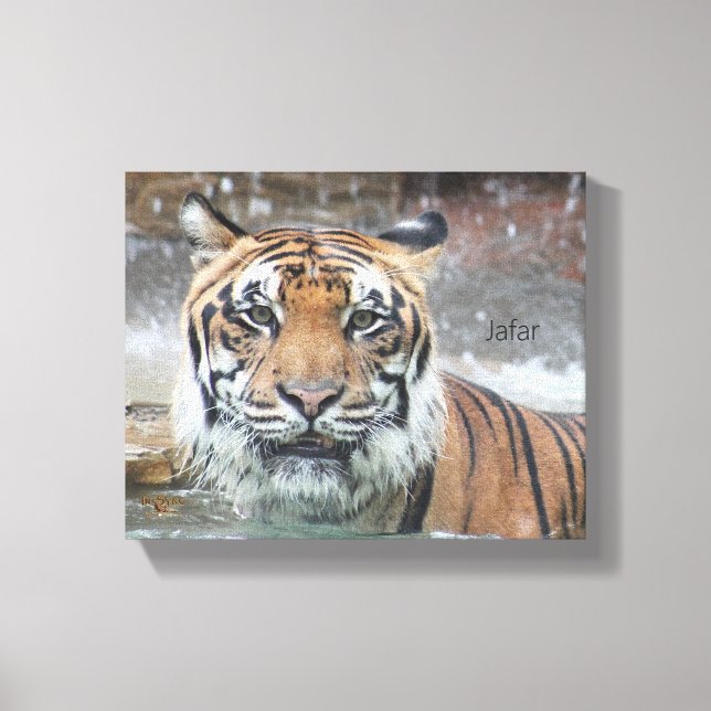 Jafar Canvas Print (Front)