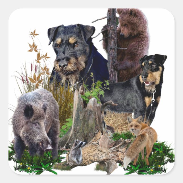  Jagdterrier Apache v. Renbrad. Sticker (Front)
