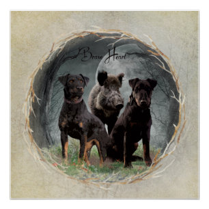 Jagdterrier , brave heart  tapestry poster