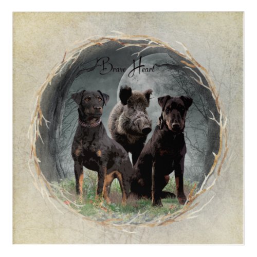 Jagdterrier  brave heart  tapestry poster acrylic print